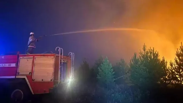 «Ертіс орманы» резерватында өрт болып жатыр