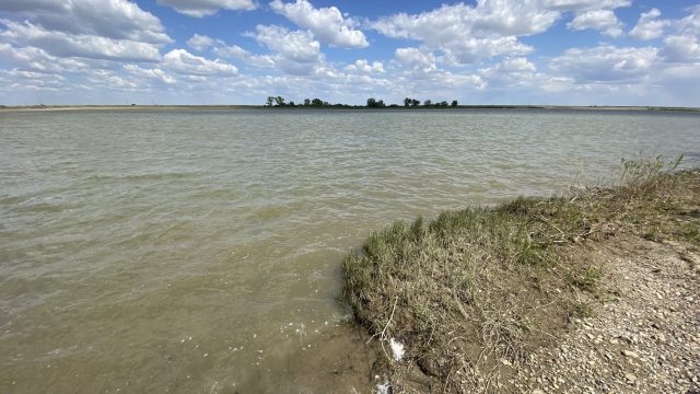 Ертіс жайылмаларының 64%-ін су басты