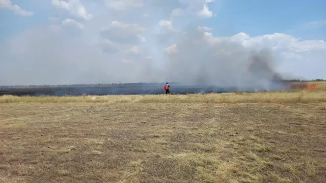 Батыс Қазақстанда құрғақ шөп өртенді