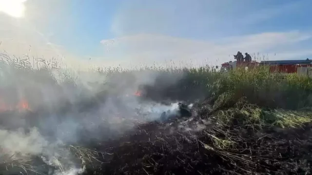 Абай облысында өрт толығымен сөндірілді