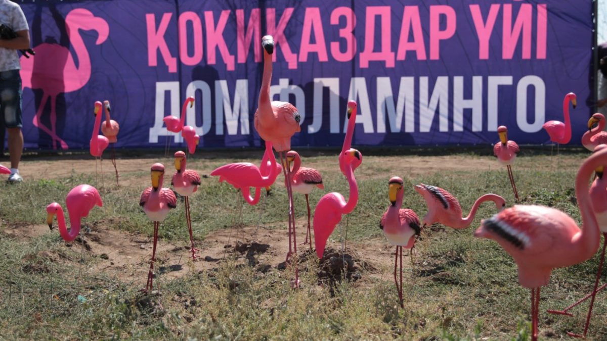 9787c689c797dc8d14fe623048b1f59d Қоқиқаздар Кіші Талдыкөлге оралды