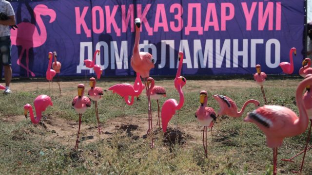 Қоқиқаздар Кіші Талдыкөлге оралды