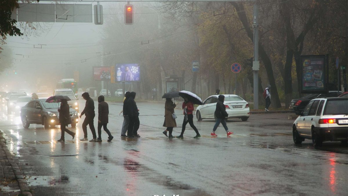 күз, жаңбыр, ауа райы, пешеход, жаяу жүргінші жолағы, бағдаршам