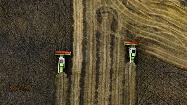 Қазақстанда шамамен 7,4 миллион гектар жерге егін себілді