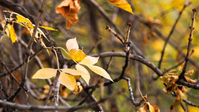 Қазақстанда 24 градусқа дейін күн жылынады