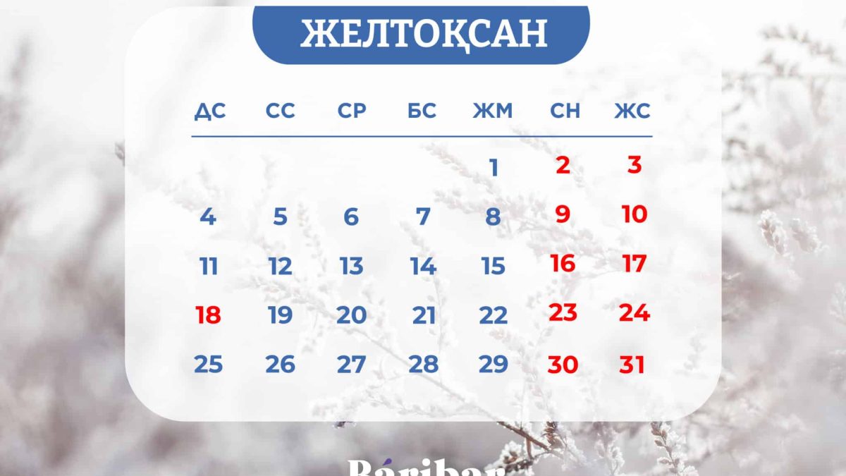 6e3486bcade6b8c1b14707e59e9e248f Қазақстан азаматтары желтоқсанда қанша күн демалады?