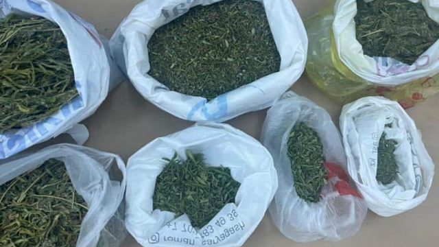 Полицейлер жергілікті тұрғыннан 15 келіден астам марихуана тәркіледі