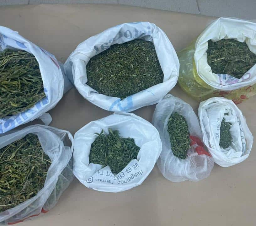 Полицейлер жергілікті тұрғыннан 15 келіден астам марихуана тәркіледі