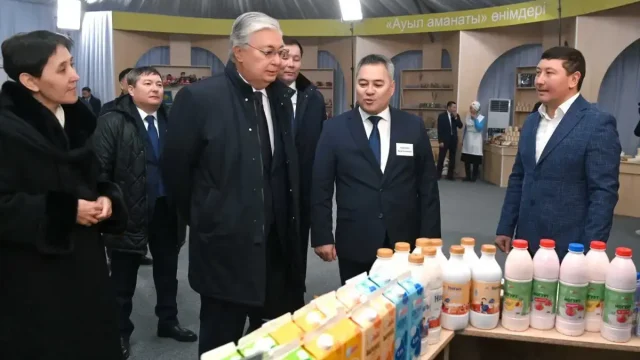 Президент «Ауыл аманаты» бағдарламасының жүзеге асырылу барысымен танысты
