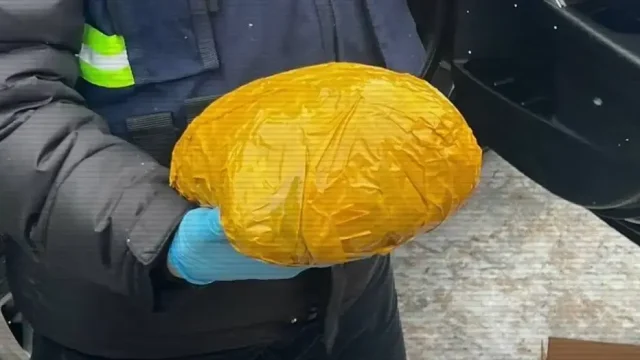 Семей тұрғынының гаражынан 154 келі марихуана табылды