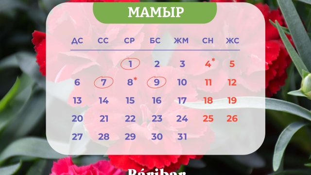 Мамырда Қазақстан халқы қалай демалады?