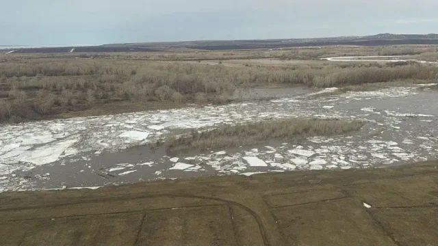 Шығыс Қазақстан жерінің 65%-інде қар жатыр