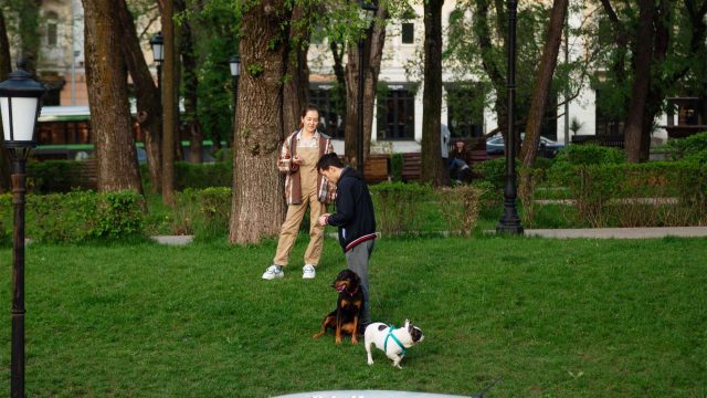 Елімізде алдағы күндері 23 градусқа дейін жылы болады