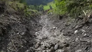лай көшкіні