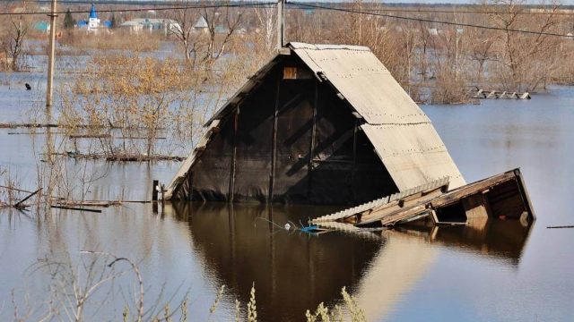 Қырғызстанда сел жүріп, бес адам қаза болды