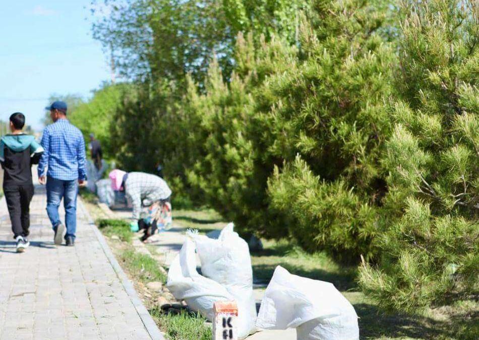 көше жинау, сенбілік