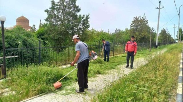 «Мөлдір бұлақ»: мәдениет ұжымдары экоакцияға атсалысып жатыр