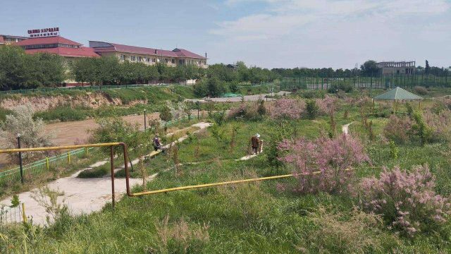 «Таза Қазақстан»: Түркістан облысындағы білім, мәдениет, туризм және денсаулық сақтау нысандарының жай-күйі жақсарды