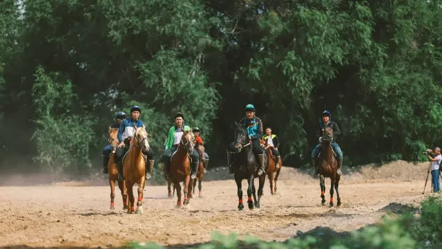 Мангала, таяқ тартыс, шалвар күрес. Түркі халықтарына ортақ қандай спорт түрлері бар?