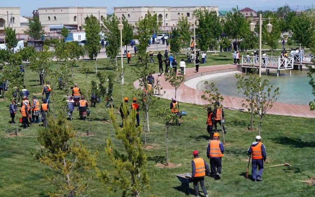 Түркістан облысы, тазалау, сенбілік