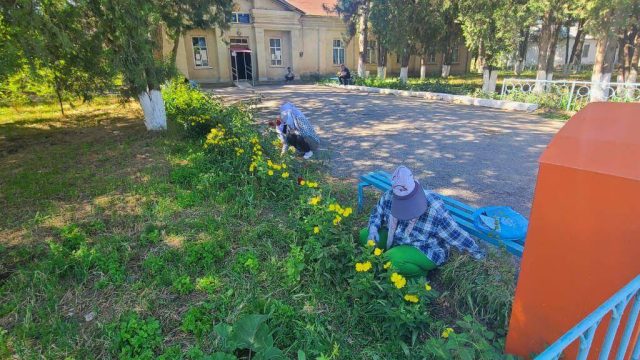 Түркістан облысындағы Сайрам ауданында тазалық жұмыстары жүйелі жүргізіліп жатыр