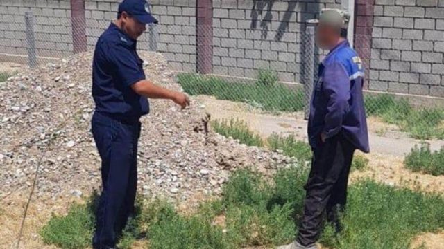 Түркістан: «Таза Қазақстан» акциясы аясында полицейлер 21 000-наң астам құқық бұзушылықты анықтады
