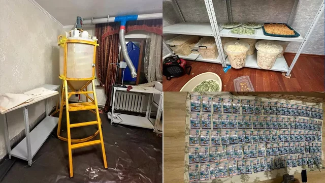 Астана және Алматыда үш ірі есірткі зертханасы жойылды