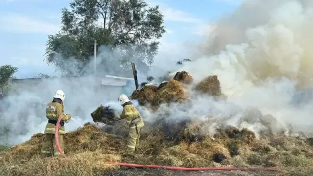 ШҚО мен Алматы облысында 26 тонна шөп өртеніп кетті