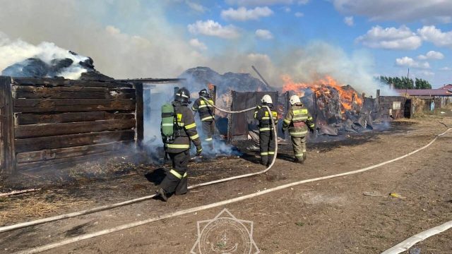 Ұлытау облысында 385 шаршы метр аумақ өртеніп кетті