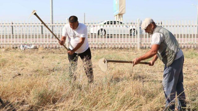 «Таза Қазақстан»: Түркістан қаласында өткен сенбілікке 700-ге жуық адам қатысты