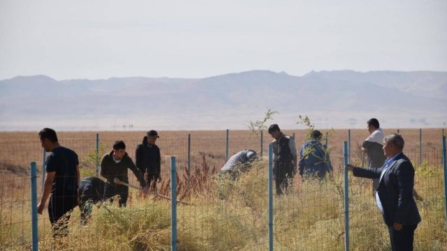 Бүкіләлемдік Тазалық күніне орай Созақта ауқымды сенбілік ұйымдастырылды