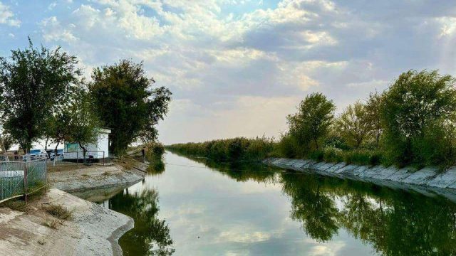 Түркістан: Шардарада 4 канал күрделі жөндеуден өтіп, 1306 шақырым қашыртқы тазаланып жатыр