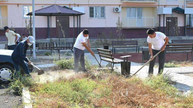 Түркістан: Жетісайда Бүкіләлемдік тазалық күніне орай ауқымды сенбілік өтті