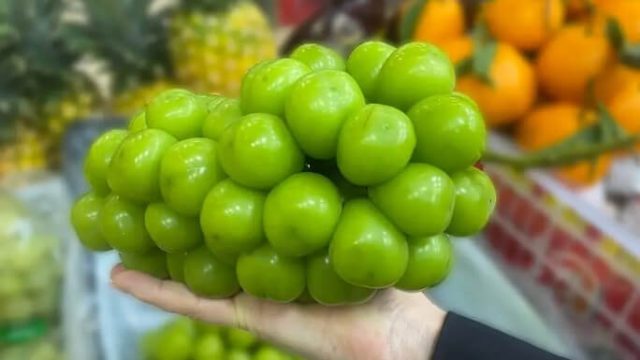 «Шайн мускат» жүзімі зиян ба? Министрлік сараптама қорытындысын жариялады