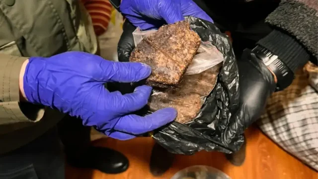 Жетісу облысында жыл басынан бері 692 келі есірткі тәркіленген