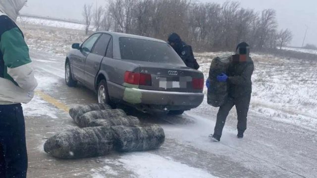 Қарағанды облысында 13 қап марихуана тасыған есірткі курьері ұсталды
