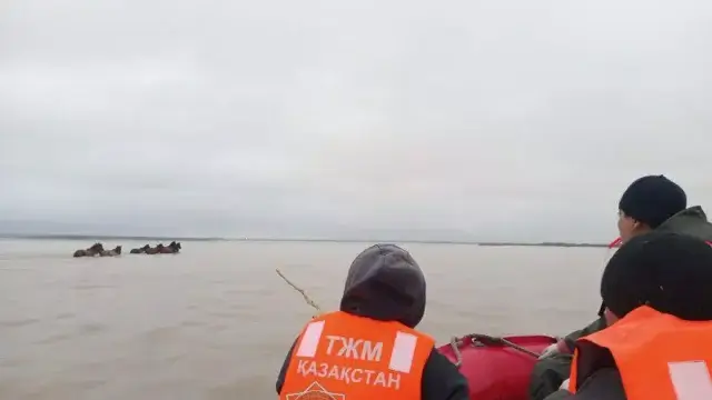 Есіл деңгейі көтерілді: тоғыз жылқы суда қалып қойды