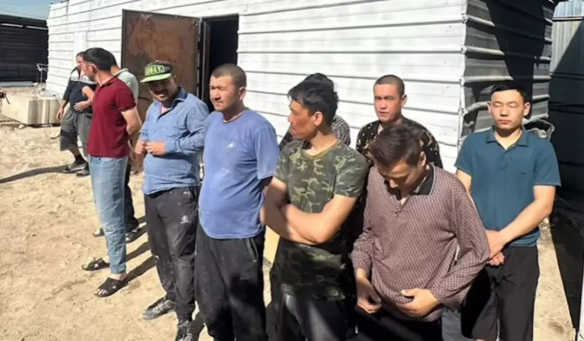 шетел азаматтары, жұмыс, мигрант