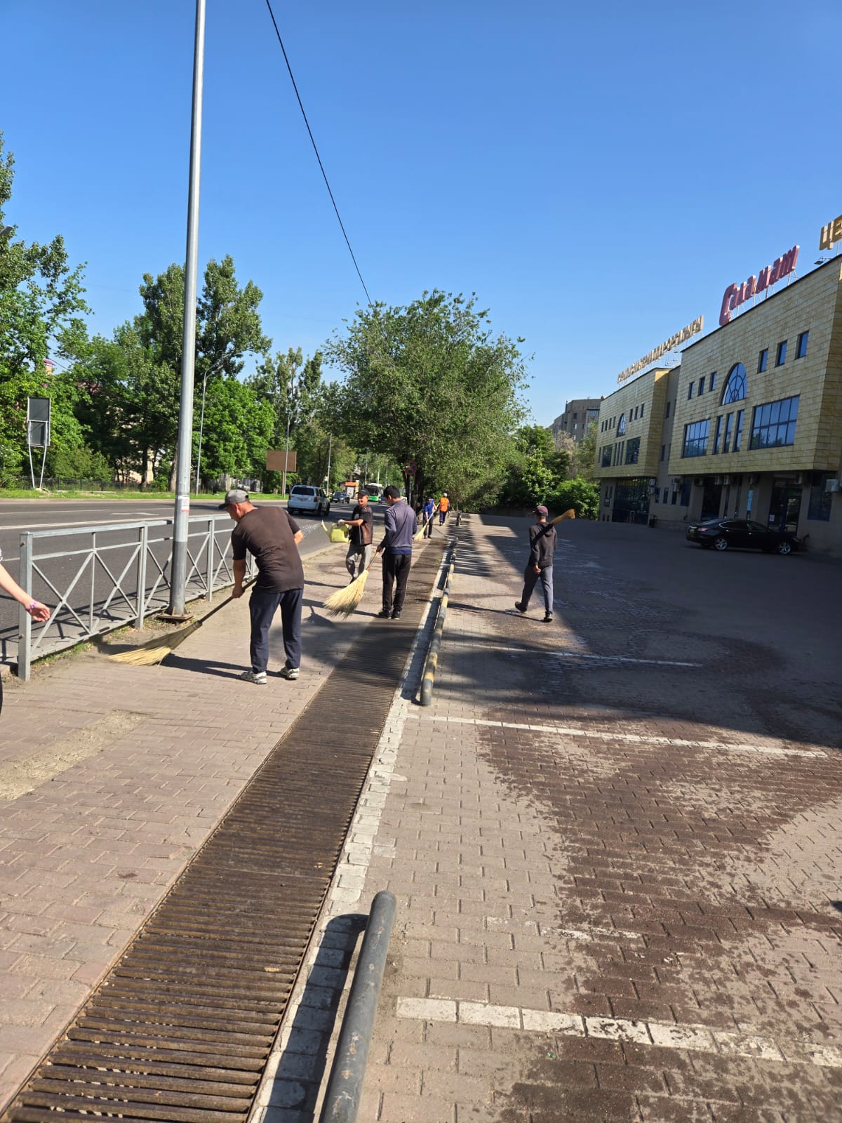 сенбілік