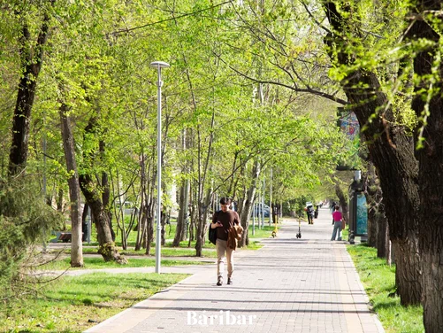 серуен, ағаш, ауа райы