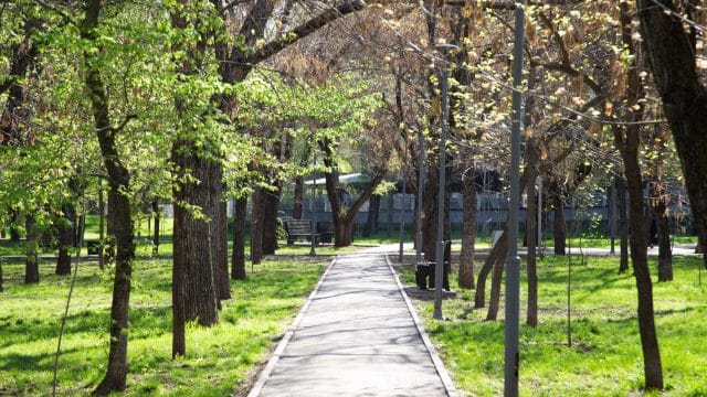 21 шілдеге арналған ауа райы болжамы жарияланды