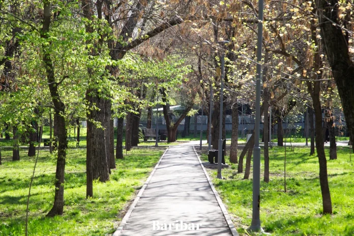 Саябақ, ауа райы, ағаш