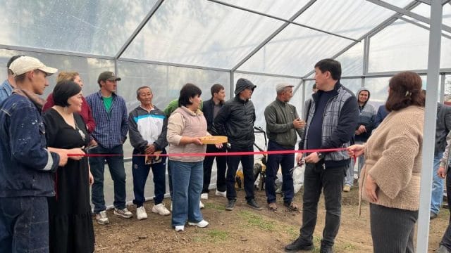 Batys AgroHub жобасы жылыжай шаруашылығын дамытуға қалай көмектесіп жатыр?
