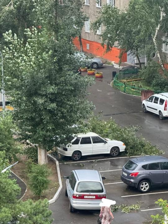 дауыл, жел
