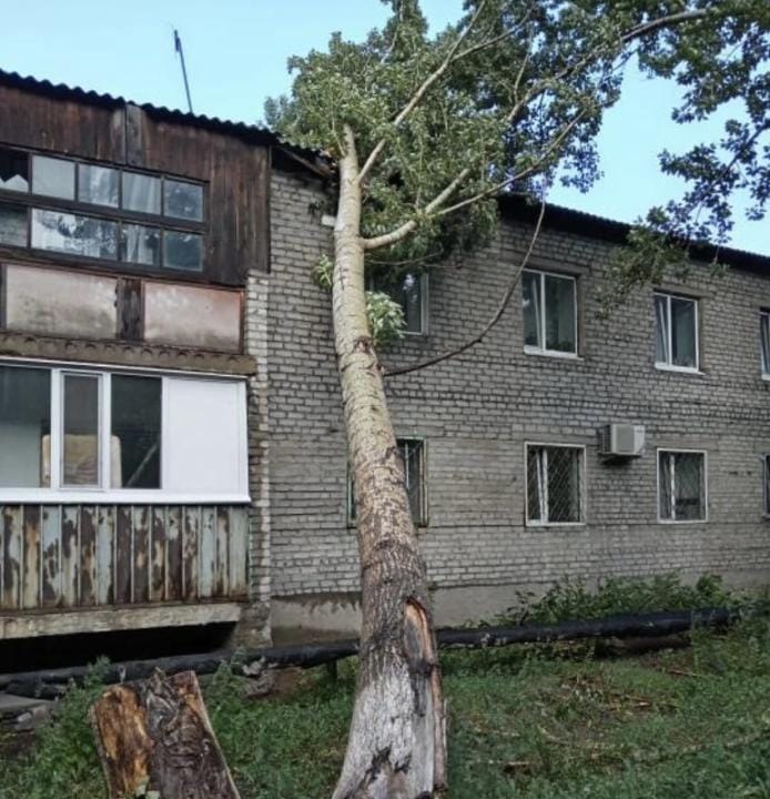 дауыл, жел