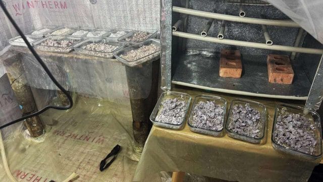 Алматыда 650 литр прекурсор сақталған қойма анықталды