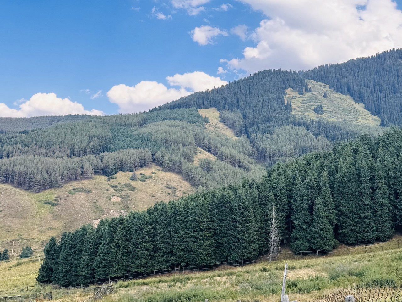 Іле Алатауы ұлттық паркі, тау, орман, табиғат