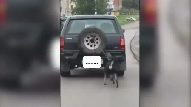 ШҚО тұрғыны итін көлігіне байлап сүйреген: ер адамға айыппұл салынды