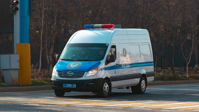 Атырау облысында түйе ұрлаған қылмыстық топ ұсталды