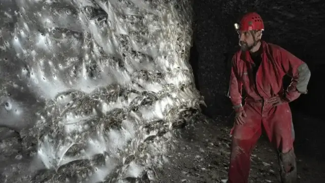 111 мың өрмекші. Әлемдегі ең үлкен өрмек торы табылды